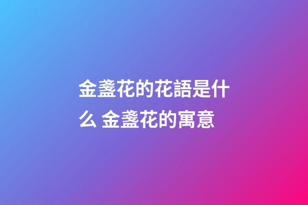 金盞花的花語是什么 金盞花的寓意